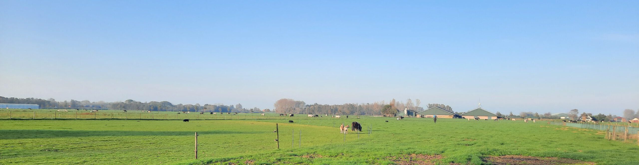 Rust. Natuur. Ruimte.